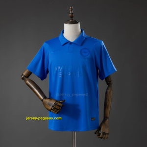 Brighton 125th Anniversary 2026-27 Jersey