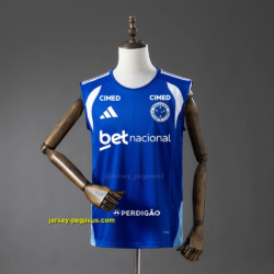 Cruzeiro All sponsors Training - Blue Vest 2026-27 Jersey