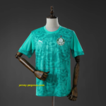 Palmeiras Training 2026-27 Jersey