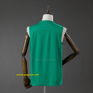 Fluminense Training Vest Green