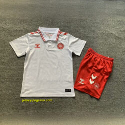 2024 Denmark Away Kid Kits Children Sets Football