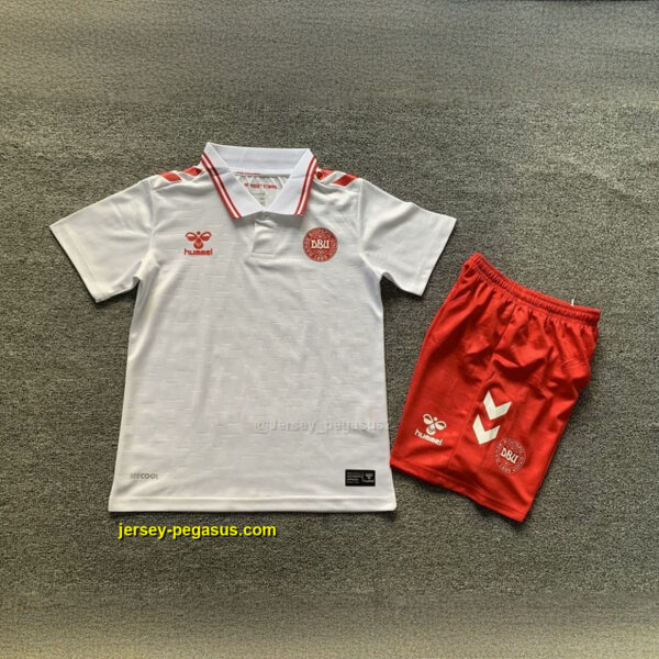 2024 Denmark Away Kid Kits Children Sets Football