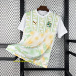 Ivory Coast 2026 World Cup Away Jersey