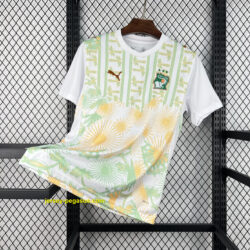 Ivory Coast 2026 World Cup Away Jersey