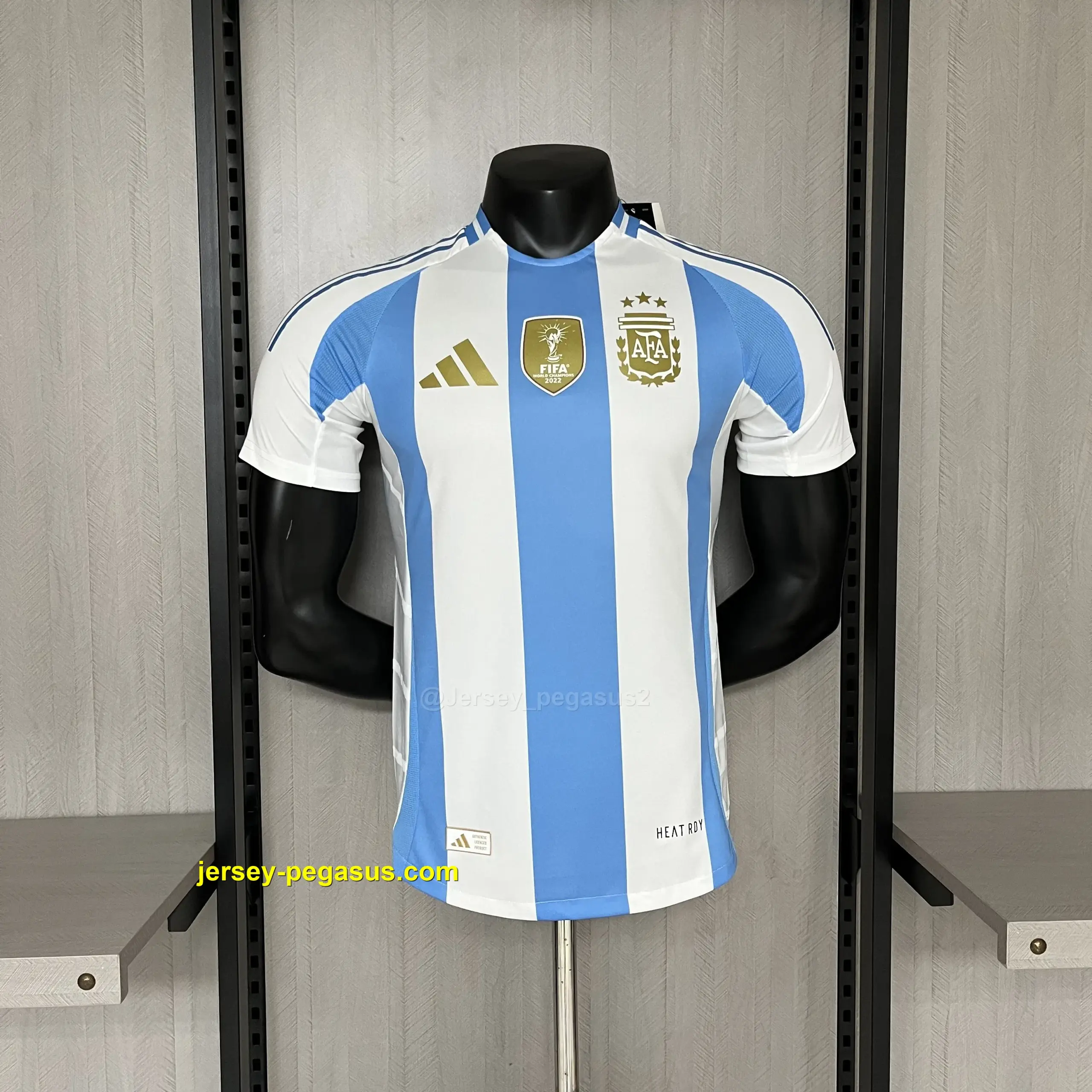 Player Edition 2024-25 Argentina Home Player Edition 2024-25 Argentina Home
