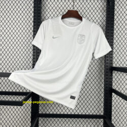 Norway 2026 World Cup Third Jersey