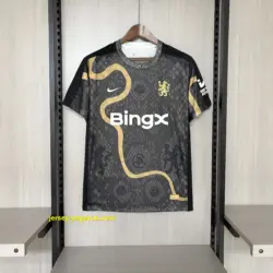 2025-26 Chelsea Jersey