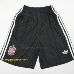 Spain 2026 Black Goalkeper Shorts