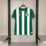 2026-27 Chapecoense Home Jersey