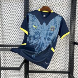 Fenerbahce 2024-25 Third Jersey