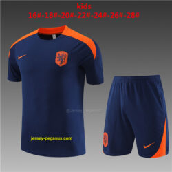 Netherlands Kids Training Soccer Jerseys
