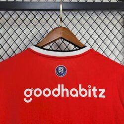 PSV Eindhoven 2024-25 Home Jersey