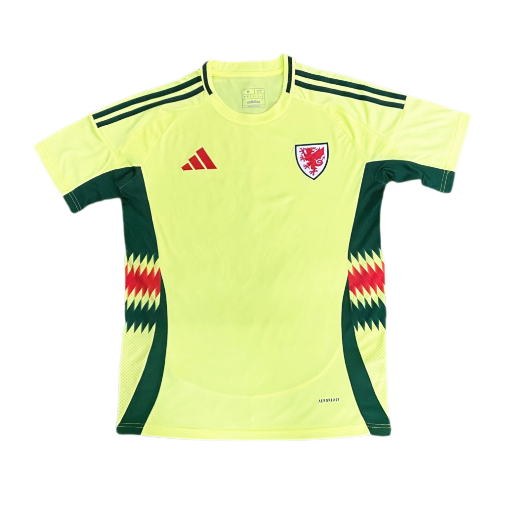 Wales 2024-25 Euro Away Jersey