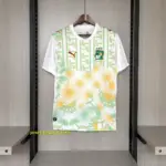 2026-27 Ivory Coast Jersey