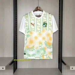 2026-27 Ivory Coast Jersey