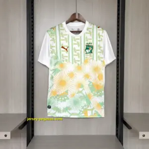 2026-27 Ivory Coast Jersey