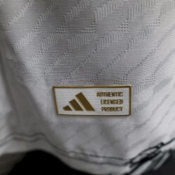 Japan 2025-26 そん ごくう- Jersey Player Version