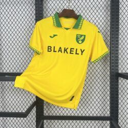 Norwich City FC 2025-26 Home Jersey