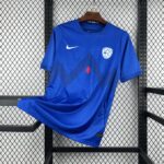 Slovenia 2026 Away Jersey