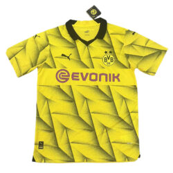 Borussia Dortmund 2023-24 Third Jersey