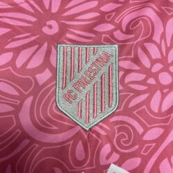 CD Palestino 2023-24 Pink training pre-match training Jersey