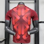 Germany 2025-26 ( Team) Away Jersey Player Version