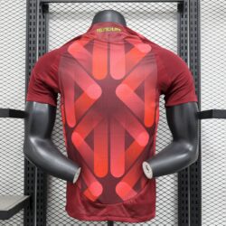 Germany 2025-26 ( Team) Away Jersey Player Version