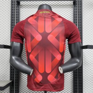 Germany 2025-26 ( Team) Away Jersey Player Version