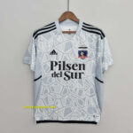 Colo-Colo goalkeeper grey