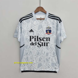 Colo-Colo goalkeeper grey