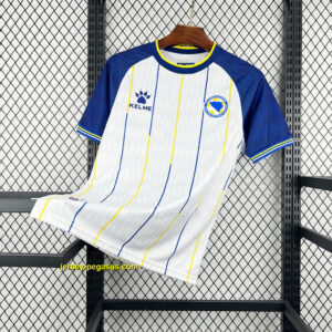 2026 Bosnia Away Kit World Cup 2026 Stadium Football Apparel