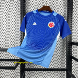 2026 Colombia Blue Goalkeeper Shirt World Cup 2026 Soccer Apparel