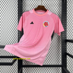 2026 Colombia Pink Goalkeeper Shirt World Cup 2026 Soccer Apparel