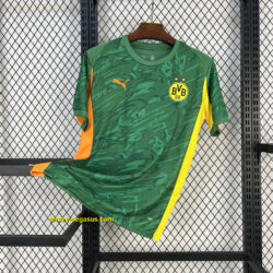Dortmund Green Goalkeeper Shirt Football Uniform