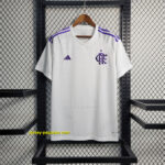 Flamengo goalkeeper1684406084000
