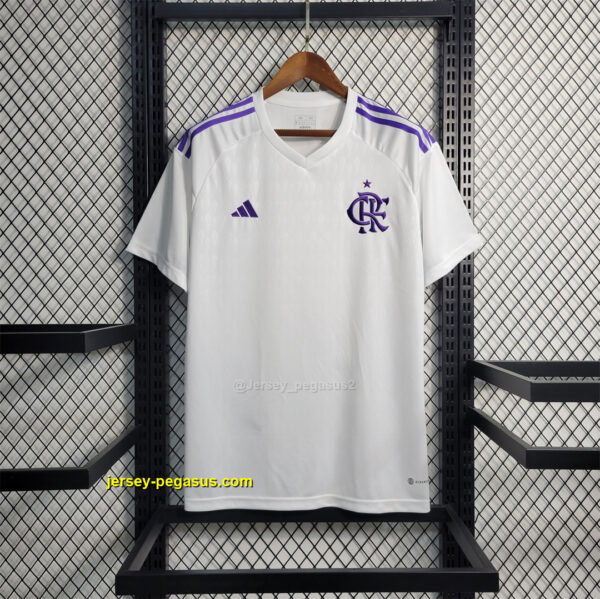 Flamengo goalkeeper1684406084000