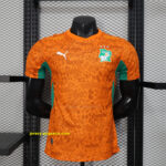 2026 Ivory Coast Home Kit World Cup 2026 Player Version Soccer T-Shirt AAAAJerse