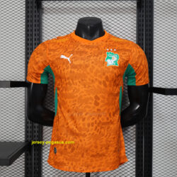 2026 Ivory Coast Home Kit World Cup 2026 Player Version Soccer T-Shirt AAAAJerse