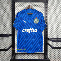 Palmeiras Goalkeeper Blue Kit Football Replicas