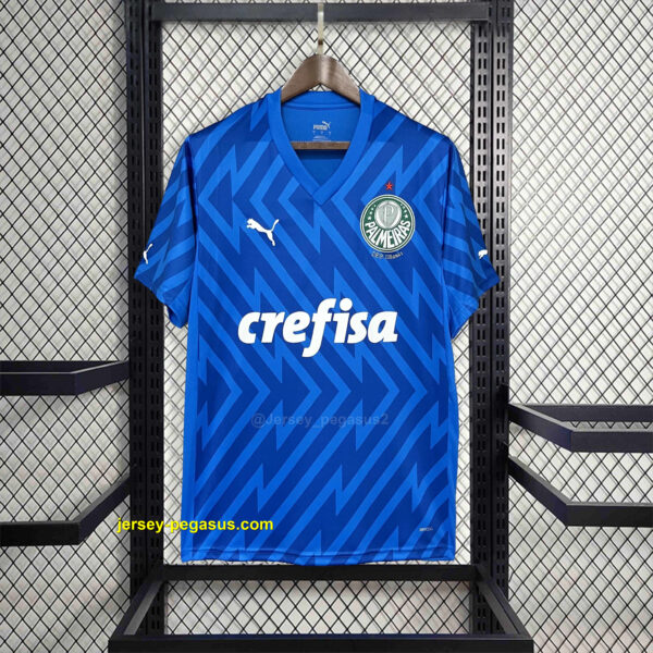 Palmeiras Goalkeeper Blue Kit Football Replicas Palmeiras Goalkeeper Blue Kit Football Replicas