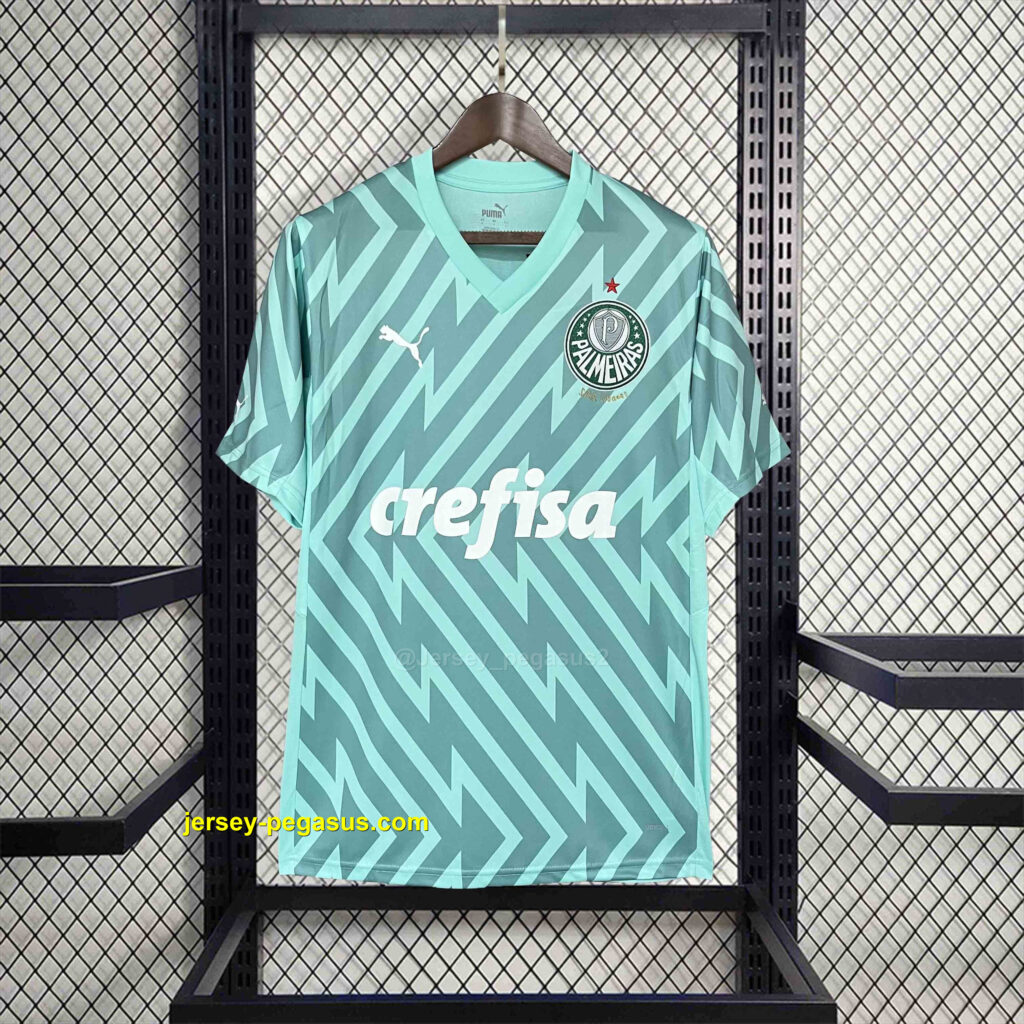Palmeiras Goalkeeper Green Kit Jerseys Supllier