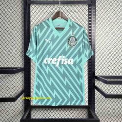 Palmeiras Goalkeeper Green Kit Jerseys Supllier