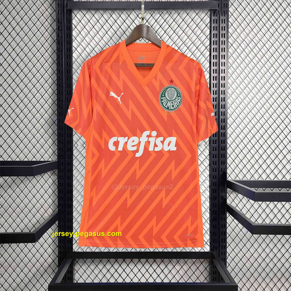 Palmeiras Goalkeeper Orange Kit Football