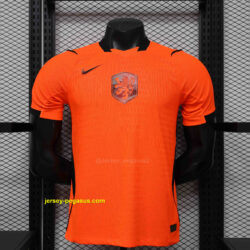 2026 Netherlands Home Wolrd Cup 2026 Kit Player Version Football T-Shirt AAAAJer