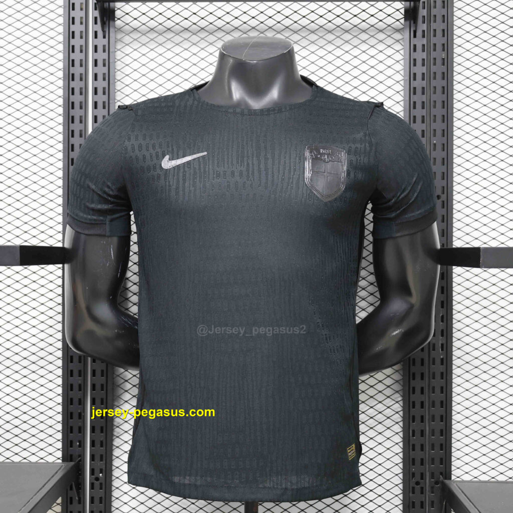 2026 Norway Away Wolrd Cup 2026 Kit Player Version Football T-Shirt