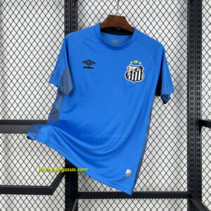 Santos Blue Goalkeeper Kit Football T-Shirt