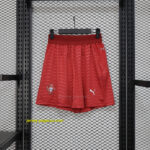 2025 Portugal Home Shorts Player Version Football Pants