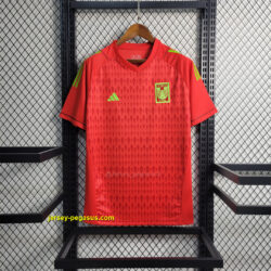 Tigres UANL Red Goalkeeper Red Kit Soccer Jerseys