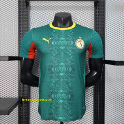 2026 Senegal Away Wolrd Cup 2026 Kit Player Version Football T-Shirt