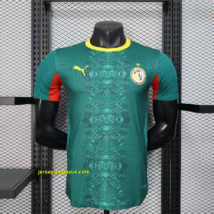 2026 Senegal Away Wolrd Cup 2026 Kit Player Version Football T-Shirt